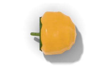 Scotch bonnet pepper