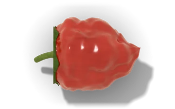 Trinidad Moruga Scorpion pepper