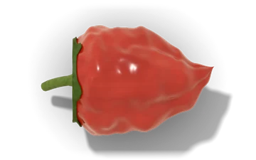 Trinidad Scorpion Butch T pepper