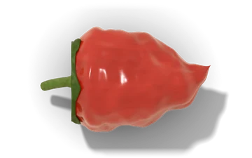 Trinidad Scorpion pepper