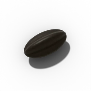 Black eyed susan seed