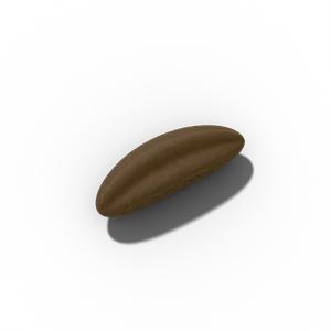 Caraway seed