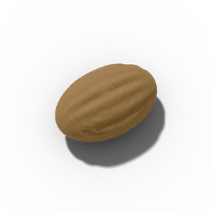 Carrot seed