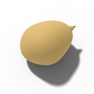 Chickpea seed