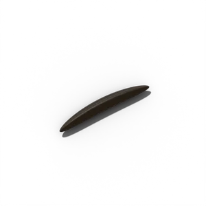 Cosmos seed