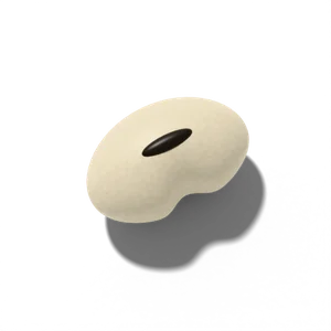 Cowpea seed