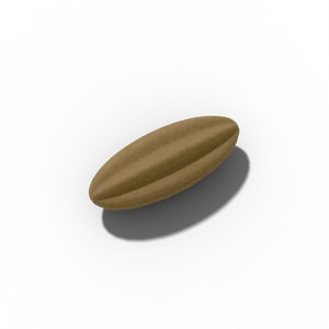 Cumin seed