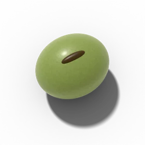Edamame seed