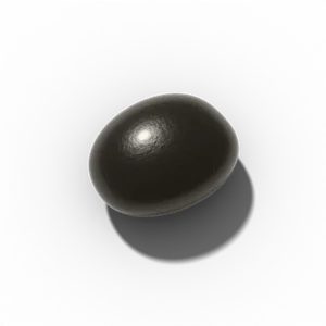 Leek seed