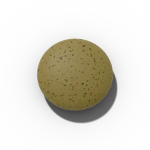 Lentil seed