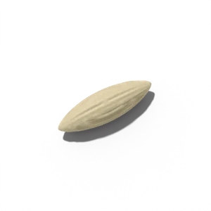 Lettuce seed