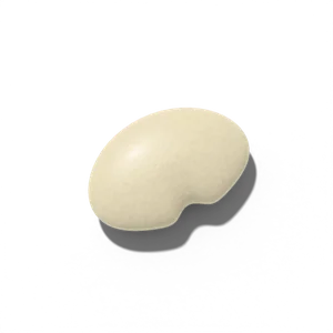 Lima bean seed