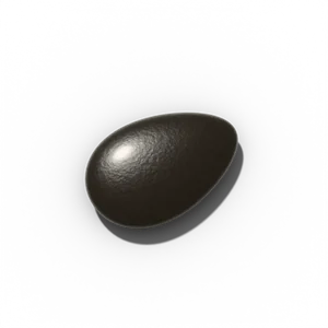 Luffa seed