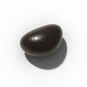 Onion seed