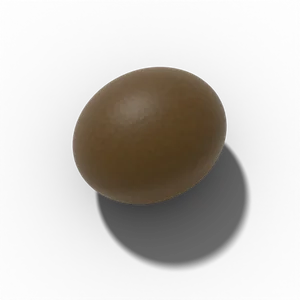 Oregano seed