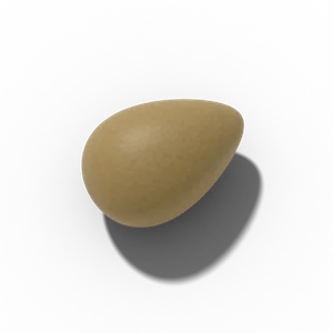 Pansy seed