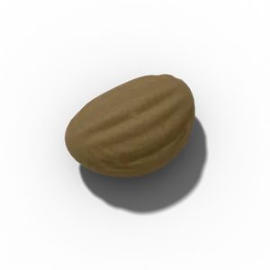Parsley seed