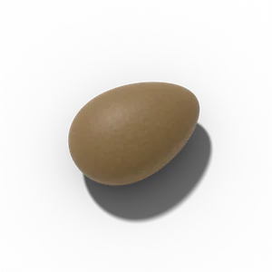 Rosemary seed