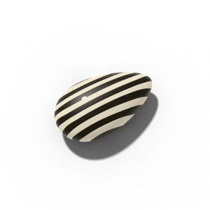 Sunflower seed