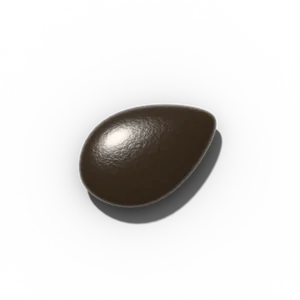 Watermelon seed