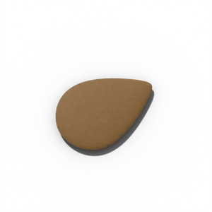Zinnia seed