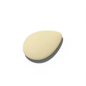 Zucchini seed