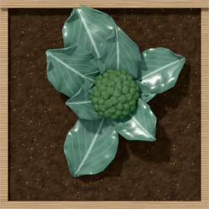 One square foot planted with 1 broccoli plant, seen from above