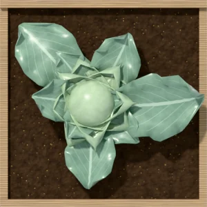 One square foot planted with 1 cabbage plant, seen from above