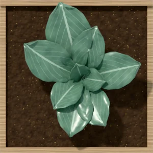 One square foot planted with 1 collards plant, seen from above