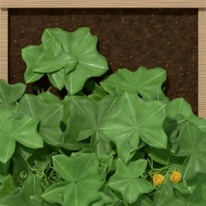 One square foot planted with 2 cucumber plants, seen from above