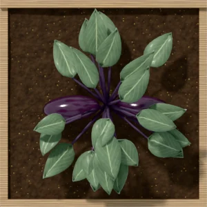 One square foot planted with 1 eggplant plant, seen from above