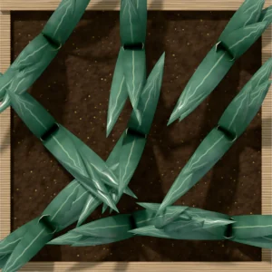 One square foot planted with 9 leek plants, seen from above