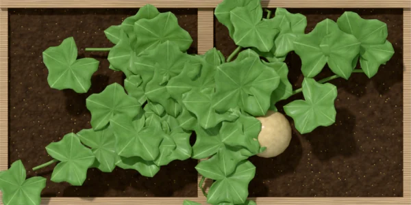 Melon spread over 2 squares of a bed, seen from above