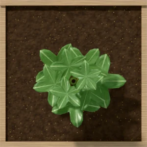 One square foot planted with 1 okra plant, seen from above