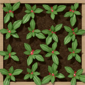 One square foot planted with 16 radish plants, seen from above