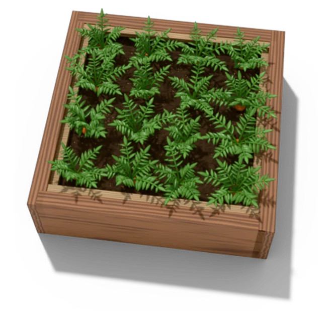 One square foot planted with 16 carrot plants in this pattern