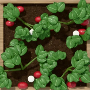 One square foot planted with 4 strawberry plants, seen from above