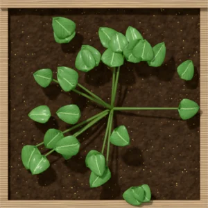 One square foot planted with 1 sweet potato plant, seen from above